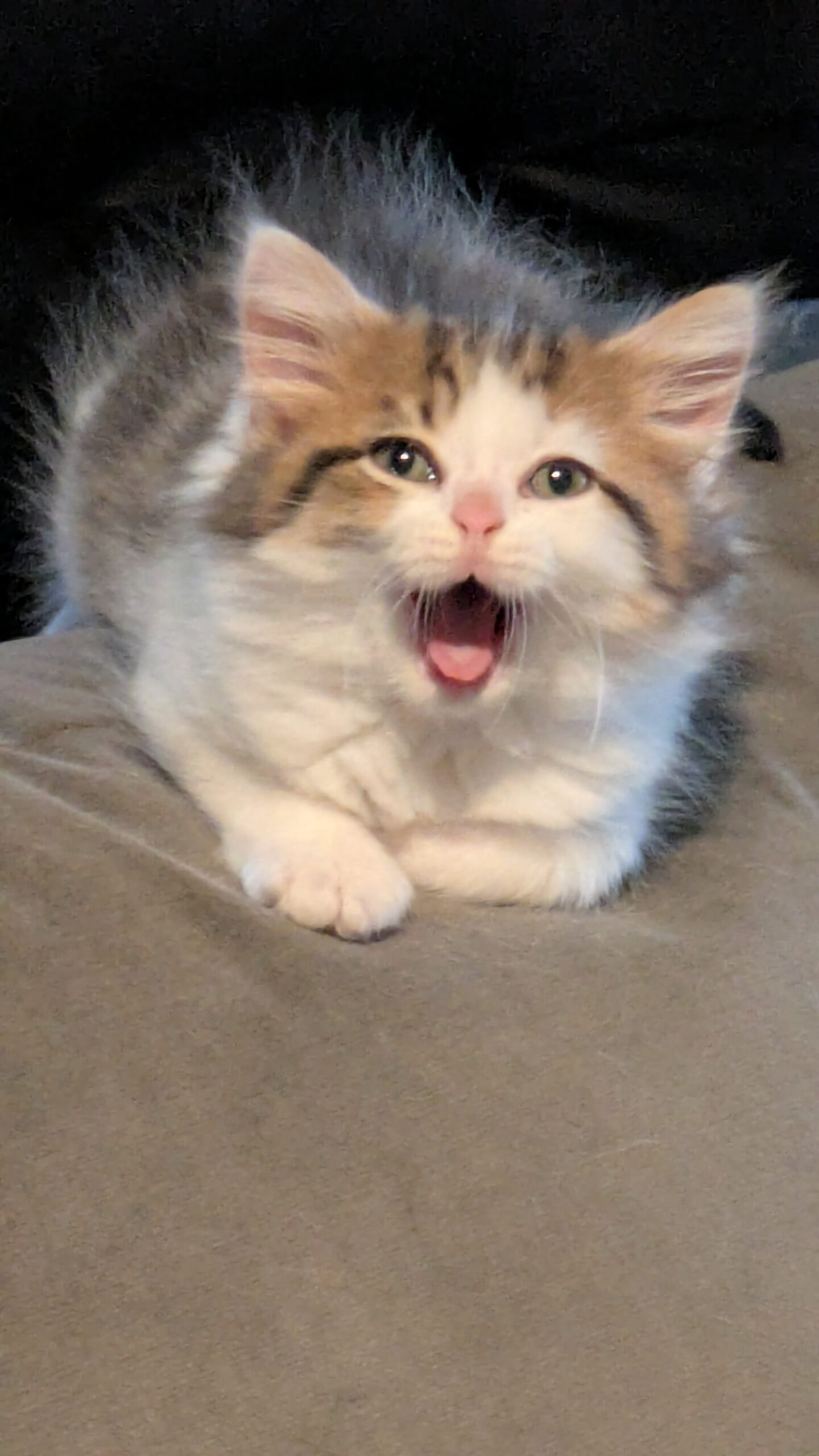 pxl 20250901 115623272