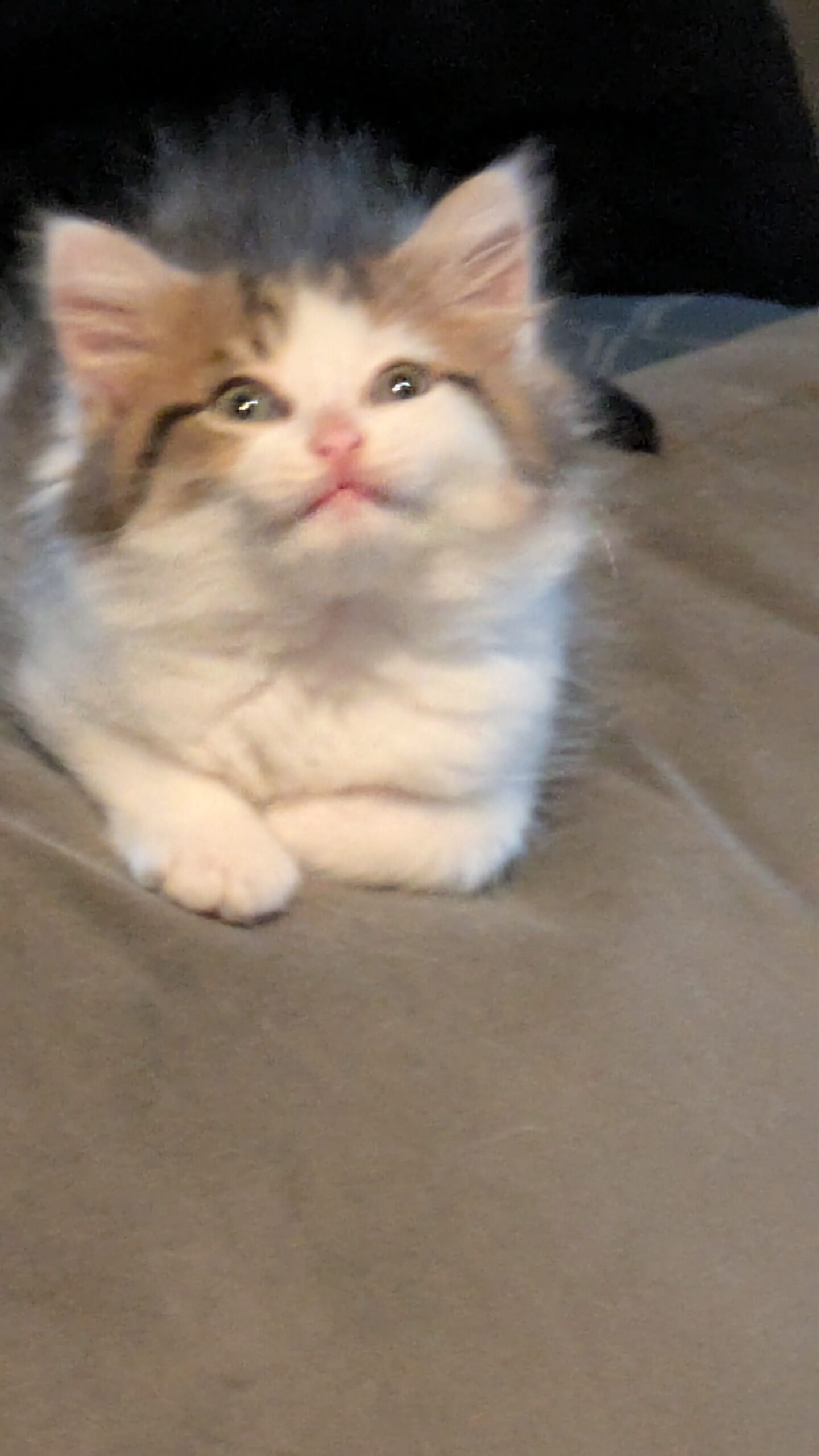 pxl 20250901 115624461